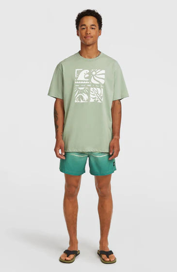 O´Neill Melange Front Print T-shirt Marble