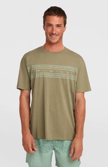 O'Neill Flower Stripe T-Shirt | Avery Fern (verde)