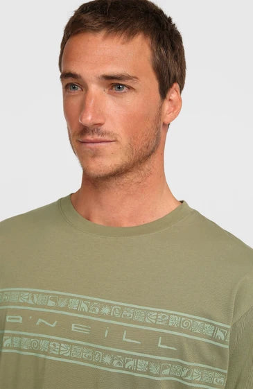 O'Neill Flower Stripe T-Shirt | Avery Fern (verde)