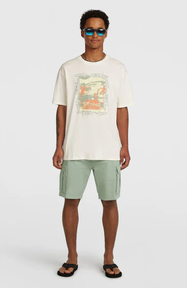 O'Neill Men Photo Front Print T-Shirt