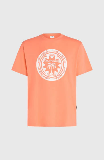 O'neill Musthave Graphic T-shirt - Pink