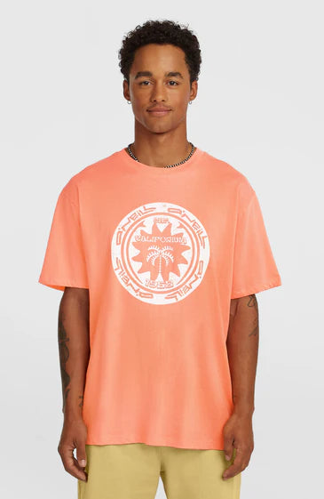 O'neill Musthave Graphic T-shirt - Pink