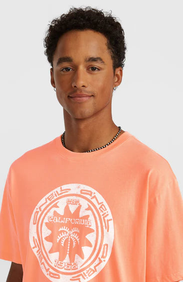 O'neill Musthave Graphic T-shirt - Pink