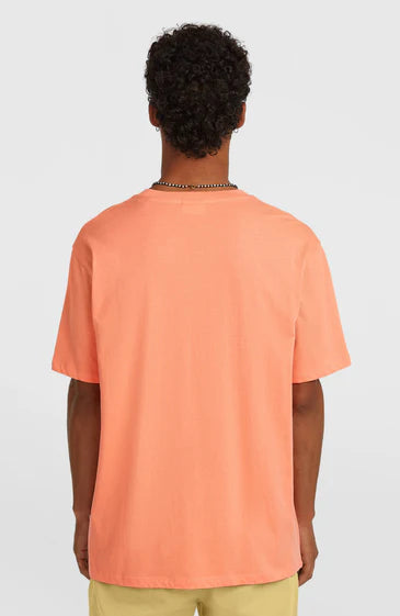 O'neill Musthave Graphic T-shirt - Pink