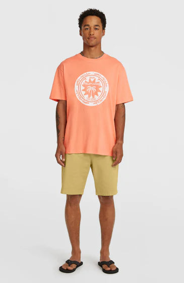 O'neill Musthave Graphic T-shirt - Pink