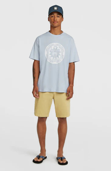 O'neill Musthave Graphic T-shirt - Sky Blue