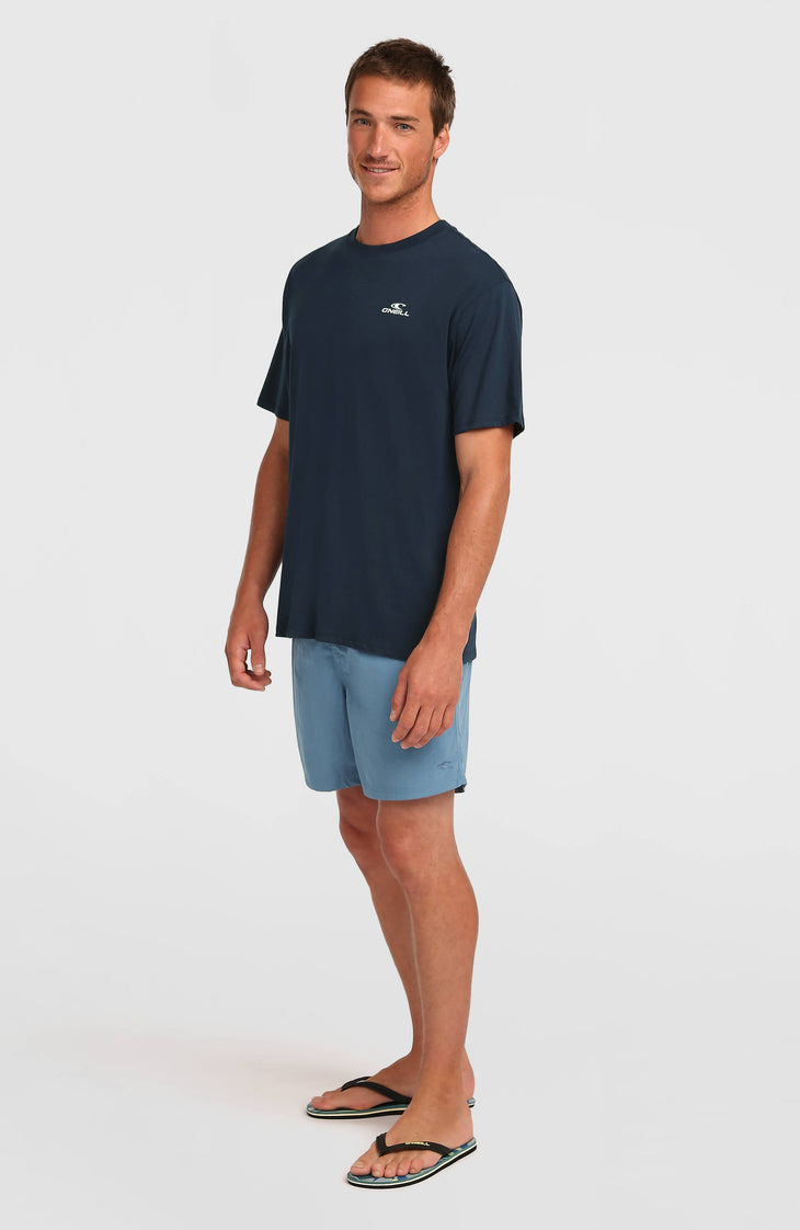 O'Neill Small Logo T-Shirt | Ink Blue