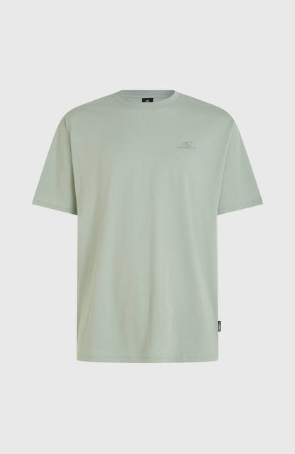 O'Neill Small Logo T-Shirt | Marble Arch