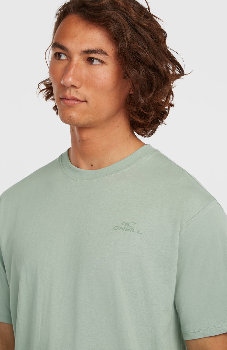 O'Neill Small Logo T-Shirt | Marble Arch
