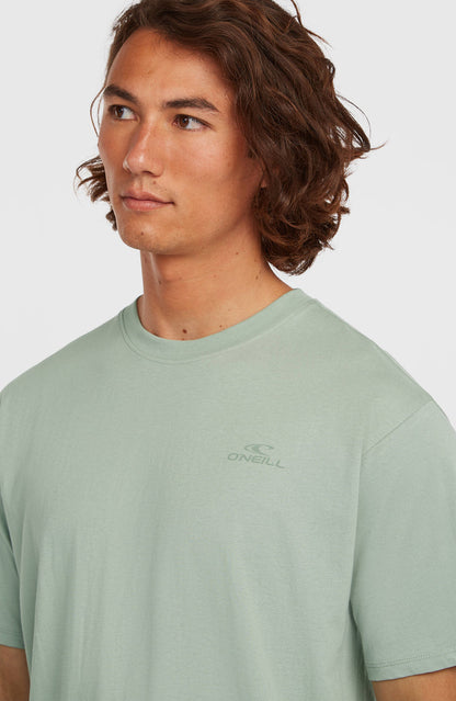 O'Neill Small Logo T-Shirt | Marble Arch