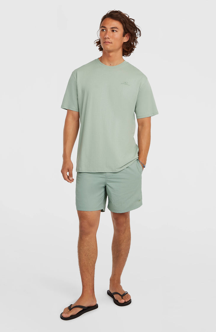 O'Neill Small Logo T-Shirt | Marble Arch