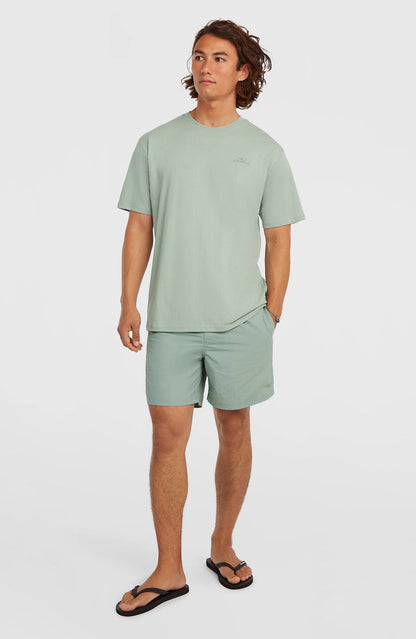 O'Neill Small Logo T-Shirt | Marble Arch
