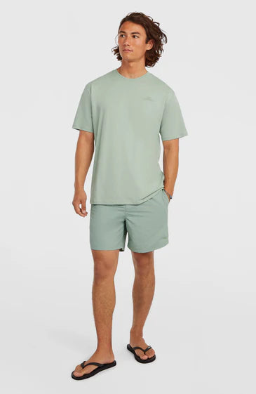 O'Neill Men O'Neill Small Logo T-Shirt