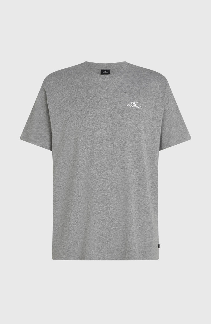 O'Neill Small Logo T-Shirt | Silver Meele