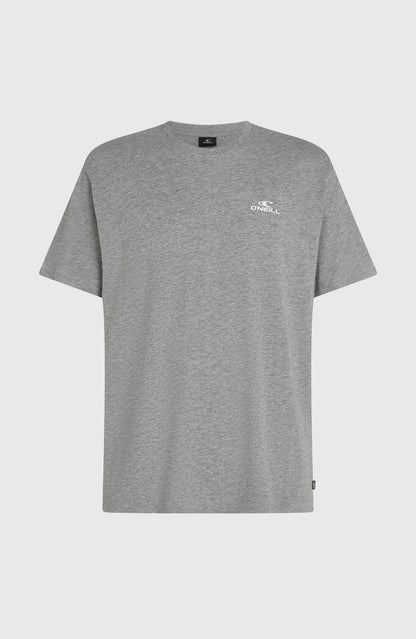O'Neill Small Logo T-Shirt | Silver Meele