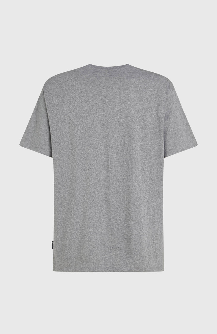 O'Neill Small Logo T-Shirt | Silver Meele