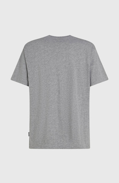 O'Neill Small Logo T-Shirt | Silver Meele