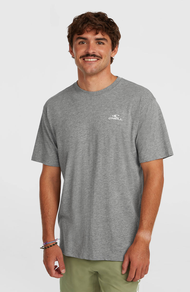O'Neill Small Logo T-Shirt | Silver Meele