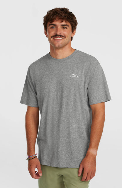 O'Neill Small Logo T-Shirt | Silver Meele
