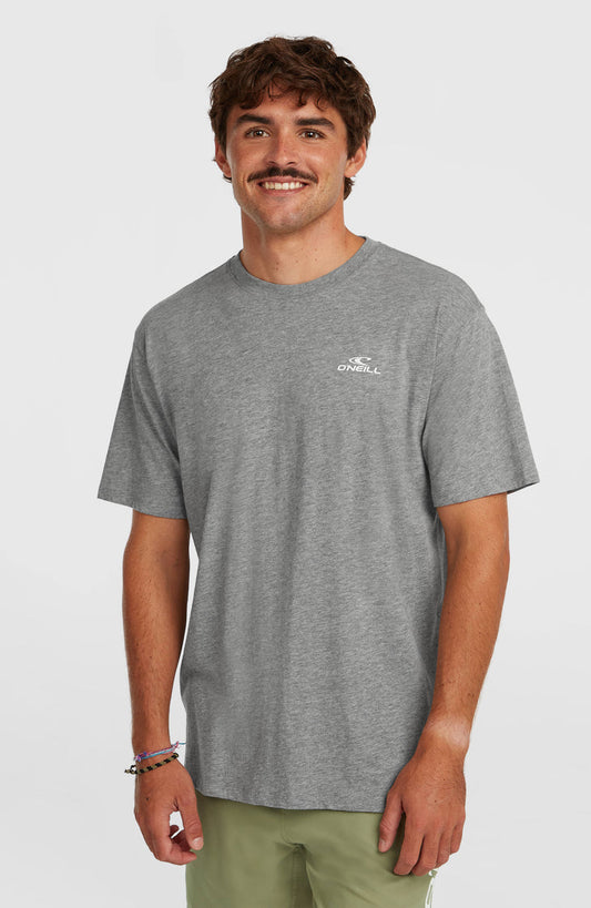 O'Neill Small Logo T-Shirt | Silver Meele