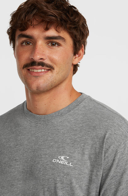 O'Neill Small Logo T-Shirt | Silver Meele