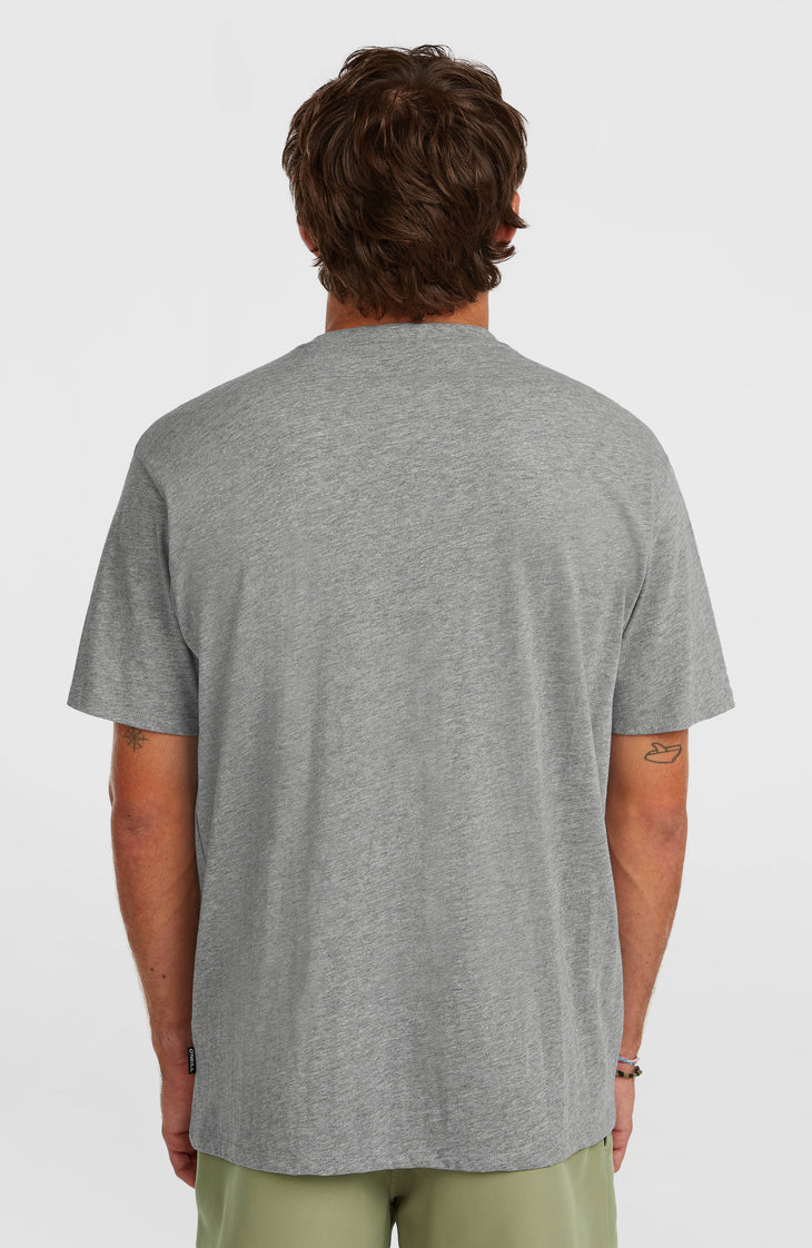 O'Neill Small Logo T-Shirt | Silver Meele