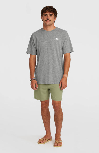 O'Neill Small Logo T-Shirt | Silver Meele