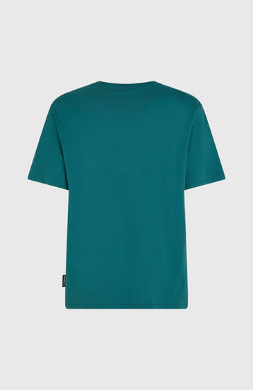 O'Neill O´Riginals Cali T-Shirt Botanical Heat