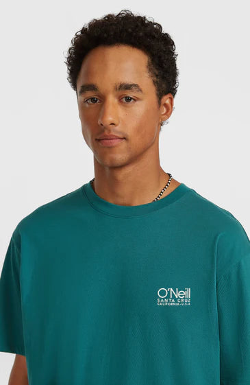 O'Neill O´Riginals Cali T-Shirt Botanical Heat