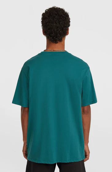 O'Neill O´Riginals Cali T-Shirt Botanical Heat