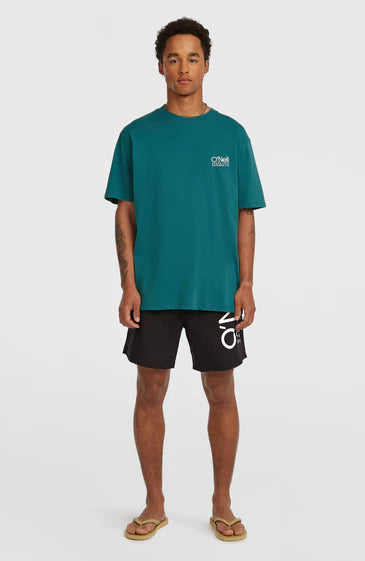 O'Neill O´Riginals Cali T-Shirt Botanical Heat