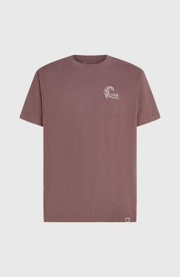 O'neill Men O'Riginals Retro Back-Print T-Shirt | Purple