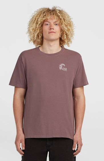 O'neill Men O'Riginals Retro Back-Print T-Shirt | Purple