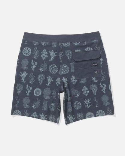 Salty Crew Crew Boardshorts Magnet