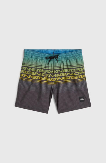 O'Neill Kids O'Neill Logo Stripe Swimshorts