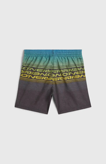 O'Neill Kids O'Neill Logo Stripe Swimshorts