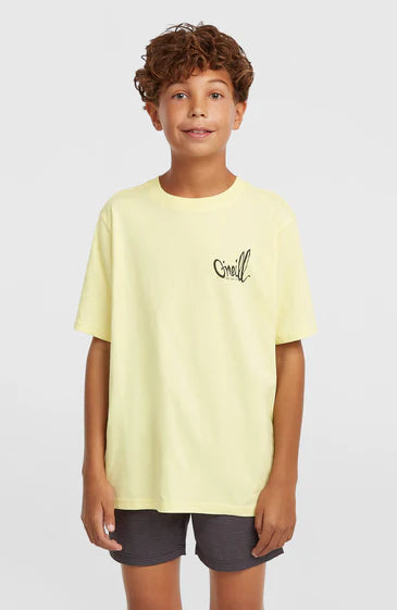 O'Neill Kids O'Neill Logo Stripe Swimshorts