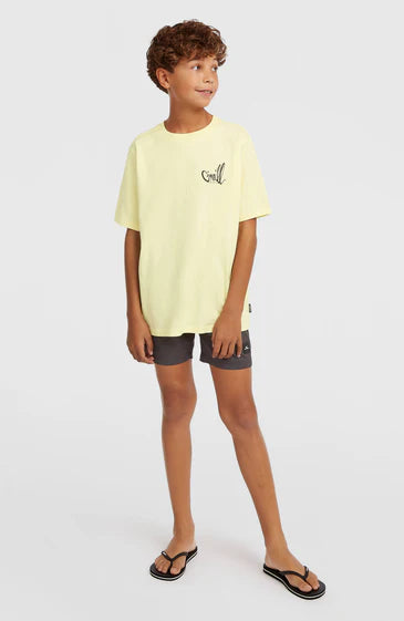 O'Neill Kids O'Neill Logo Stripe Swimshorts