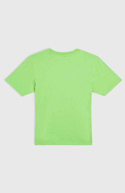 O'neill Kids Jack O'Neill Muir T-Shirt | Green