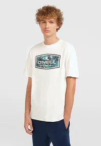 O'Neill GRAPHIC - Camiseta estampada -White