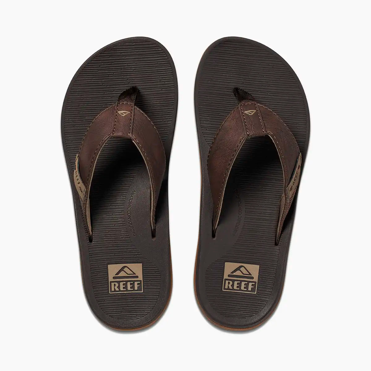 Reef Santa Ana Brown