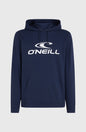 O'Neill Logo Hoodie