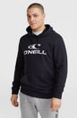 O'Neill Logo Hoodie