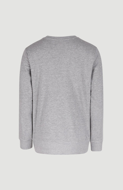 O'NEILL LOGO CREW - Wear Man - Silver Melee -