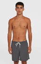 Men O'Neill Vert 16" Swim Shorts