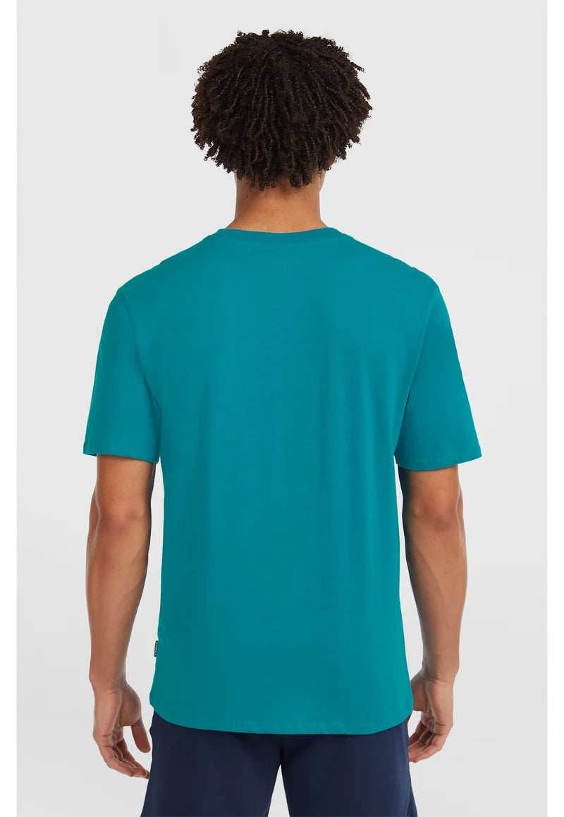 O'Neill GRAPHIC - Camiseta estampada - island breeze