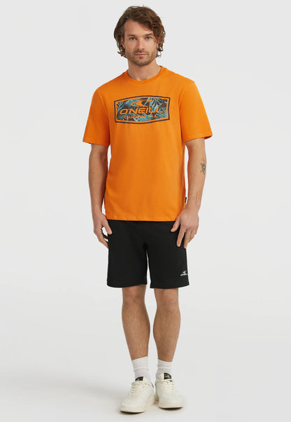 O'Neill GRAPHIC - Camiseta estampada -Mango
