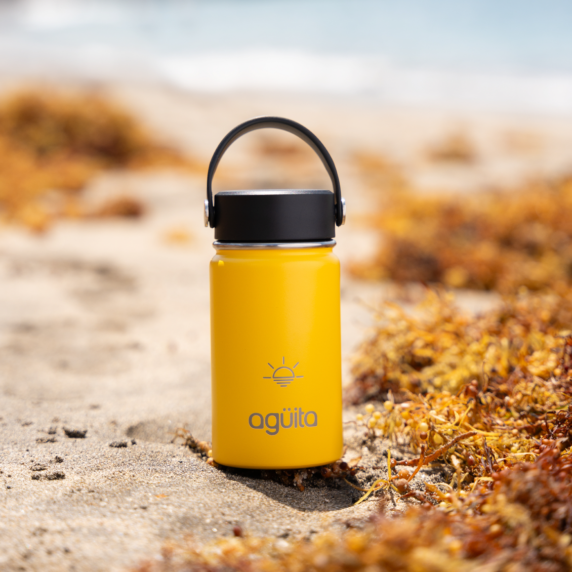 Agüita Botella Thermos Doble Capa 355ml