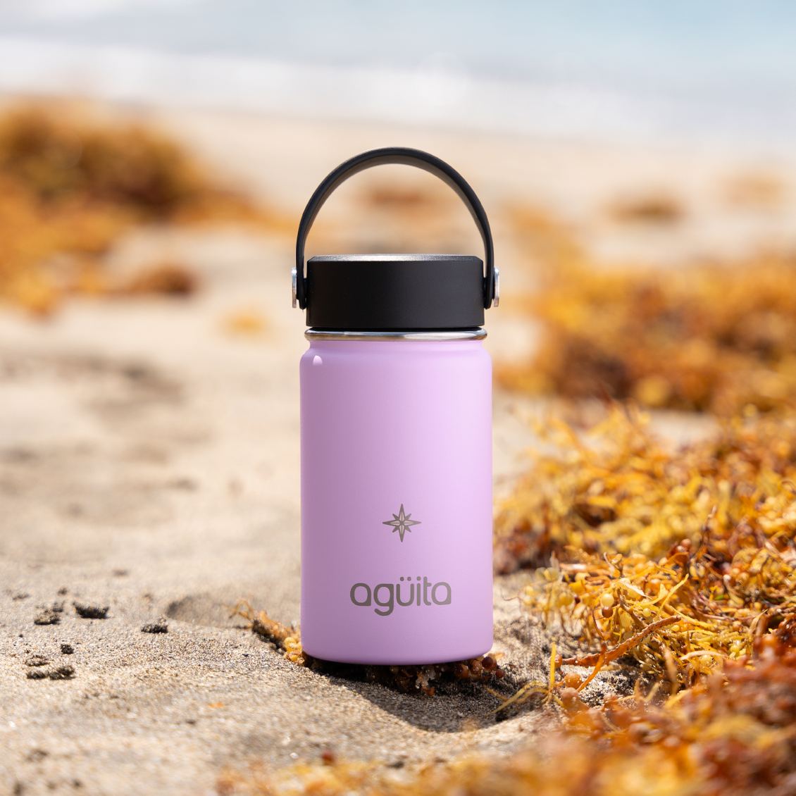 Agüita Botella Thermos Doble Capa 355ml
