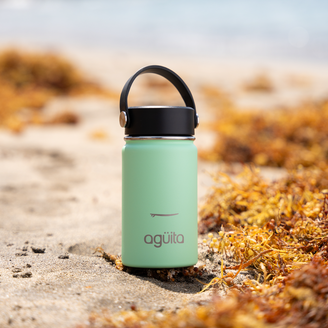 Agüita Botella Thermos Doble Capa 355ml